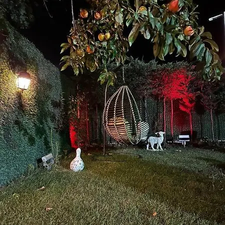 Uludag Manzarali Kis Bahcesi * Panayir