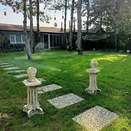 Hotel Uludag Manzarali Kis Bahcesi Panayir